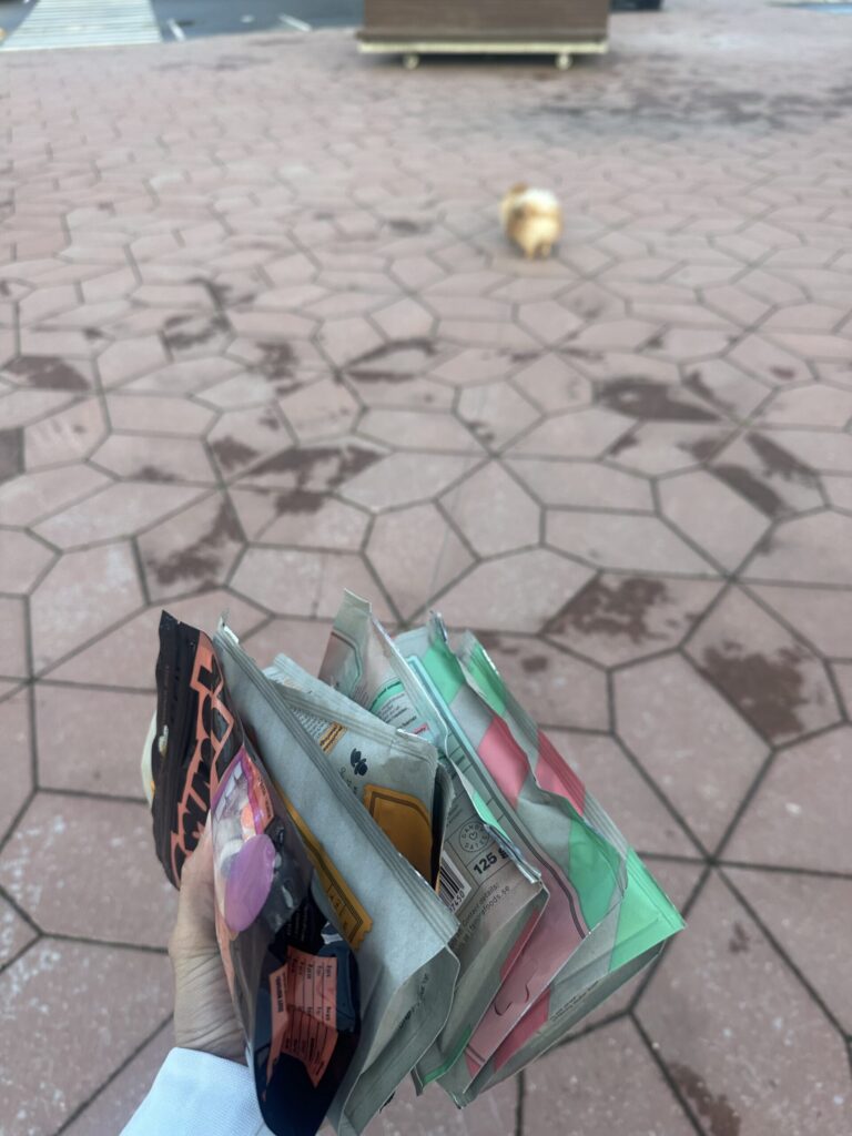 Image #1 from Kirli K.